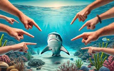 Vì sao cá mập thường bị gọi tên mỗi khi có sự cố cáp quang biển?