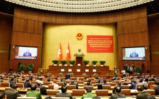 Xây dựng 'điểm tựa quốc gia', kịp thời chấn hưng văn hóa