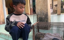 Quảng Trị: Học sinh lớp 4 giao nộp cá thể rái cá quý hiếm