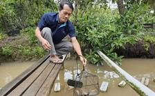 Nuôi ngọc trai ở cù lao để làm du lịch