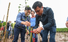 Hưởng ứng Tết trồng cây 2026: Góp thêm 9.000 cây vào 'kho báu' đồng bằng sông Hồng