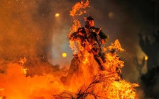 Hình ảnh về ngựa được thể hiện ra sao trong các nền văn hóa?