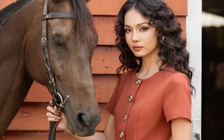 Màu cam, điểm nhấn cho diện mạo cuốn hút và thời thượng