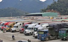 Chính phủ tạm dừng Nghị định 46 đến hết ngày 15.4