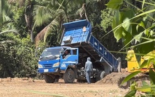 TP.HCM: San lấp trái phép gần 1.800 m2 giữa rừng cây phường Long Phước