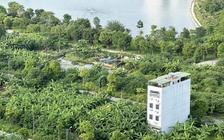 Anh em cùng cha khác mẹ kiện nhau chia thừa kế gần 5.000 m2 đất