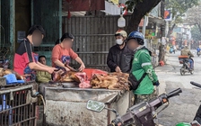 'Phố thịt chó' duy nhất còn lại ở Hà Nội giờ ra sao?