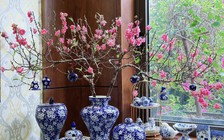 Cách chọn và chăm sóc hoa đào để nở đúng tết, lâu rụng cánh