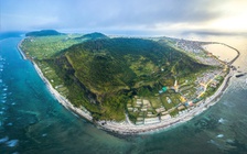 Những kình ngư Lý Sơn ở Hoàng Sa