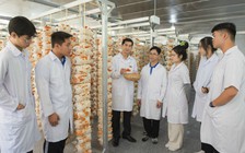 Thầy giáo miền Tây trồng nấm vân chi đỏ bằng quy trình cải tiến tích hợp IoT
