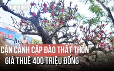 Xem cặp đào thất thốn 'dáng rừng' giá thuê hàng trăm triệu đồng tại Hà Nội
