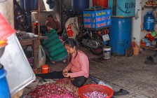 Tết lạ 'xóm chảy nước mắt' ở TP.HCM: Vì sao nhiều người bỏ nghề?