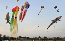 Cánh đồng ngoại ô TP.HCM cuối tuần rợp trời diều khổng lồ