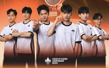 Đánh bại DCG, Team Secret Whale giành vé đến First Stand 2026