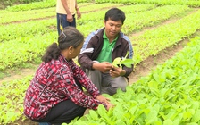 Trăn trở của cử tri và điểm sáng từ sự tiên phong của thanh niên