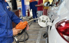 Giá xăng dầu hôm nay 12.3.2026: Biến động trái chiều