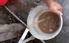 Vụ nước sinh hoạt ở Đồng Tháp đục ngầu: Chính quyền xã báo cáo gì?