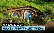 New Zealand có gì? Kiwi, chim cánh cụt và cả một Trung Địa