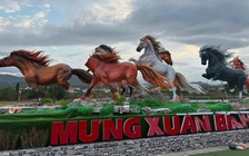 Linh vật ngựa nửa tỉ đồng mất đầu, đuôi: Người gây ra là 2 trẻ dưới 10 tuổi