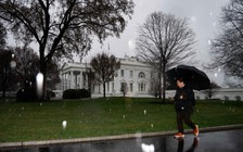 Mỹ, Úc chống chọi thời tiết cực đoan