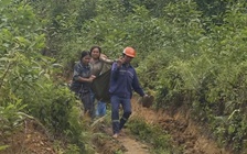 Khai thác keo dưới đường dây điện cao thế, 2 người nhập viện cấp cứu