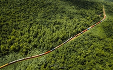 Khi nào khôi phục chạy tàu qua khu gian Hải Vân - Hải Vân Nam?