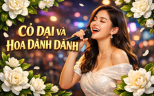 Trend hát karaoke 'Cỏ dại và hoa dành dành' phủ sóng cõi mạng: Nguồn gốc từ đâu?