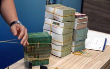 Bất động sản, hàng không, nhà hàng, thẩm mỹ... nợ thuế 'khủng'