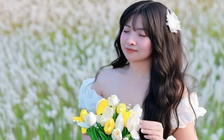 Cánh đồng cỏ lau nở trắng xóa khiến nhiều người mê mẩn check-in