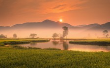 Hôm nay người Việt đón tiết Xuân phân 20.3, cần lưu ý gì?