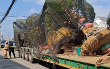 Để che lấp biển số rơ moóc, tài xế bị lập biên bản