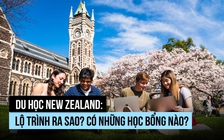Du học New Zealand: Lộ trình ra sao? Có những học bổng nào?