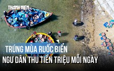 Cận cảnh ngư dân Quảng Ngãi bắt ruốc trên biển, thu tiền triệu mỗi ngày