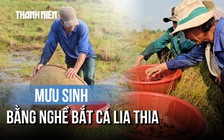 Nghề lạ: Đi vòng tròn đến chóng mặt bắt cá lia thia mưu sinh