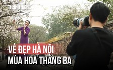 Hà Nội tháng Ba: Đi đâu cũng gặp hoa nở