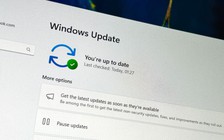 Windows 11 sắp cho phép hoãn Windows Update 'bao lâu cũng được'