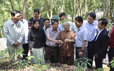 Tặng 3.000 cây sâm Ngọc Linh cho thanh niên miền núi