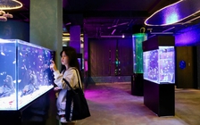 Vì sao càng trưởng thành càng ít bạn bè?