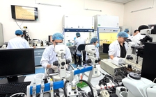 Tiến sĩ danh dự, giáo sư danh dự không thay thế cho học vị, học hàm