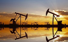 Giá xăng dầu hôm nay 24.3.2026: Lao dốc 11% sau tin Mỹ hoãn 'tối hậu thư' tấn công Iran