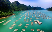 Việt Nam có 'viên ngọc quý' vào top 7 kỳ quan bậc nhất Đông Nam Á