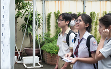 Công bố cấu trúc và đề thi minh họa lớp 10 Phổ thông Năng khiếu