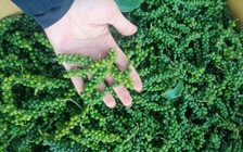 EU siết kiểm soát nông sản nhập khẩu, hàng Việt Nam gặp khó