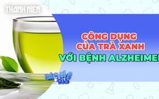 Công dụng của trà xanh với bệnh Alzheimer không phải ai cũng biết
