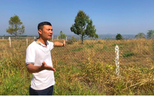 Vụ tự chặt cây cà phê: Viện kiểm sát rút kinh nghiệm vì thiếu chứng cứ kết tội