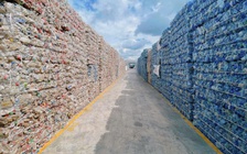 Xuất khẩu vào EU lại khó vì bao bì