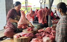 Giá heo hơi hôm nay 27.3.2026: Giảm trở lại