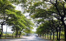 Những tuyến đường ai cũng muốn đi qua giữa thời tiết nắng nóng gay gắt ở TP.HCM