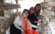 Đến cù lao Thới Sơn trải nghiệm du lịch với trại nấm bào ngư