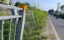 Lan can bờ kênh bị mất gây nguy hiểm